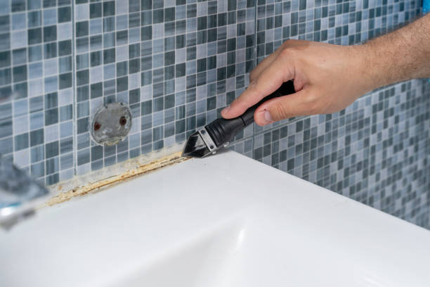 Best Mold Testing  in Spring Valley, CA