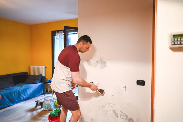 Best Mold Testing  in Spring Valley, CA